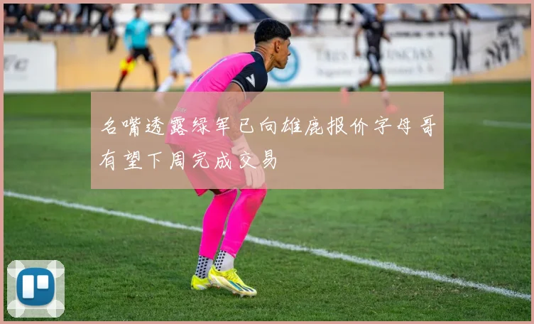 名嘴透露绿军已向雄鹿报价字母哥有望下周完成交易