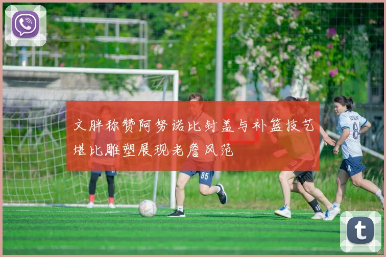 文胖称赞阿努诺比封盖与补篮技艺堪比雕塑展现老詹风范